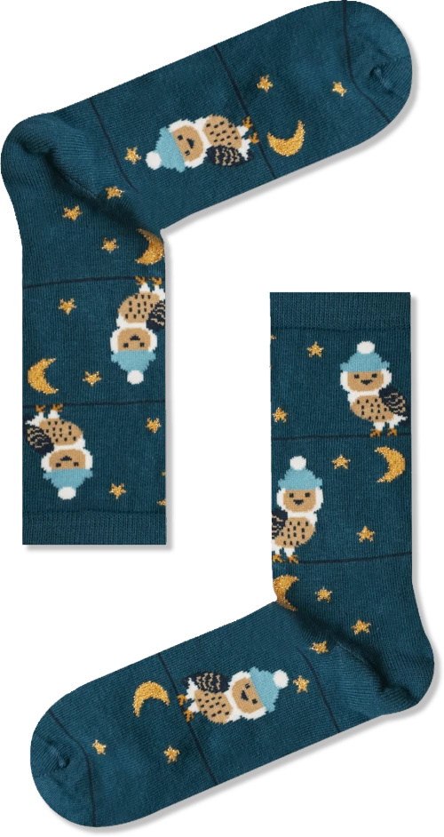 Unisex Κάλτσες Owl With Cap