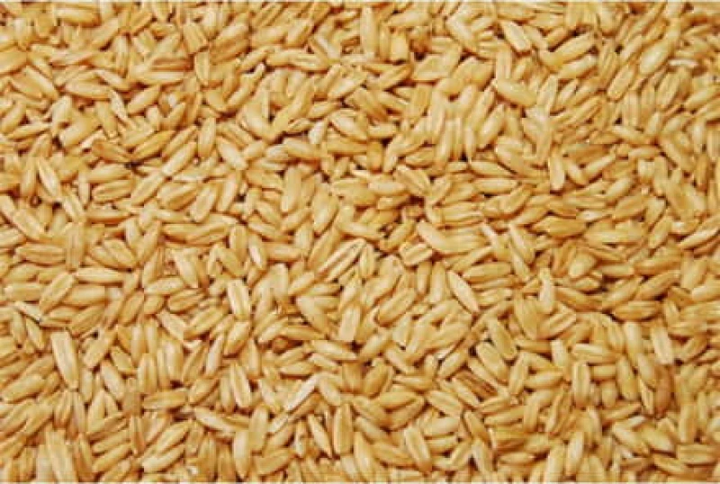 Versele-laga Βρώμη - 25KG