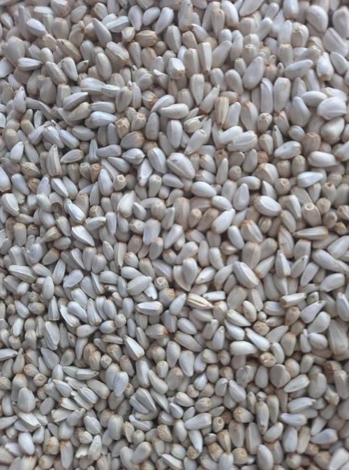 Cardi-Κάρδαμο - 1KG