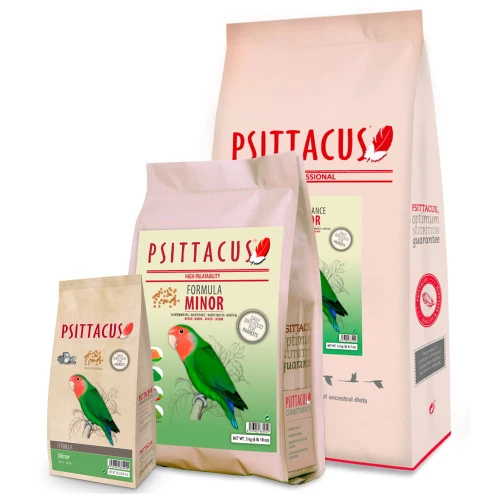 Psittacus Minor Maintenge - 12KG