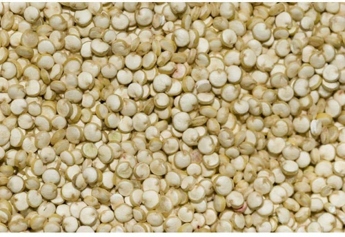 Κινόα χύμα Κλουβοτεχνική - 1KG