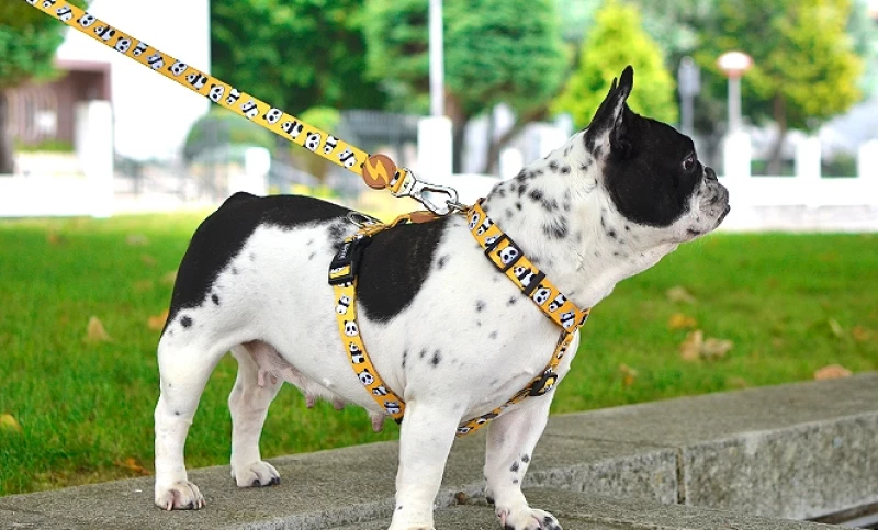 Σαμαράκι Σκύλου Dashi Snooze Back Harness Medium 2x42-69cm