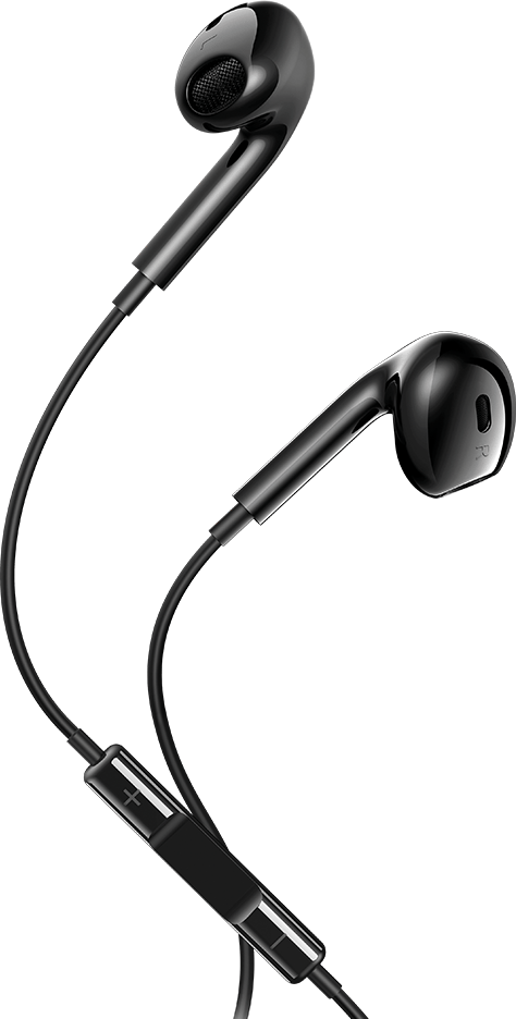 Maxlife wired earphones MXEP-04 USB-C black