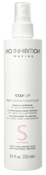 No Inhibition, Waving Stay Up, Hair Leave-In Conditioner, Retexturizing, 250 ml