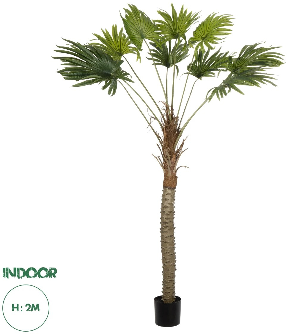 21107 GloboStar®  Artificial Garden WASHINGTONIA FILIFERA TREE 21107 Τεχνητό Διακοσμητικό Φοινικόδεντρου Υ200cm