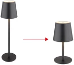 Φωτιστικό Επιτραπέζιο Globo Lighting VANNIE 58438G 3000K
