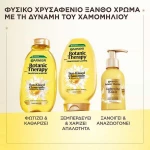 Garnier Botanic Therapy Sun-Kissed Chamomile & Blossom Honey Conditoner 200ml