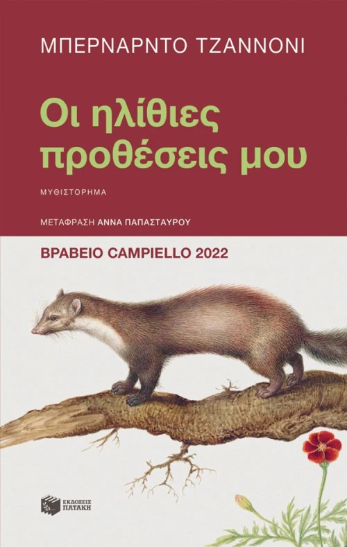 Οι ηλίθιες προθέσεις μου