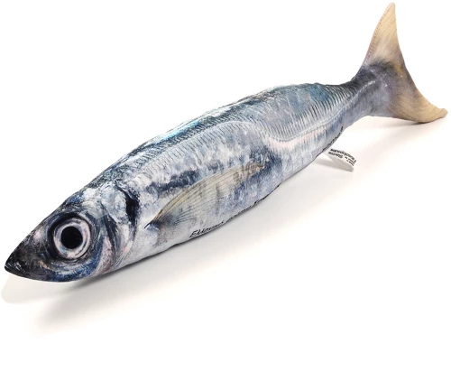 Σαφρίδι - fishome