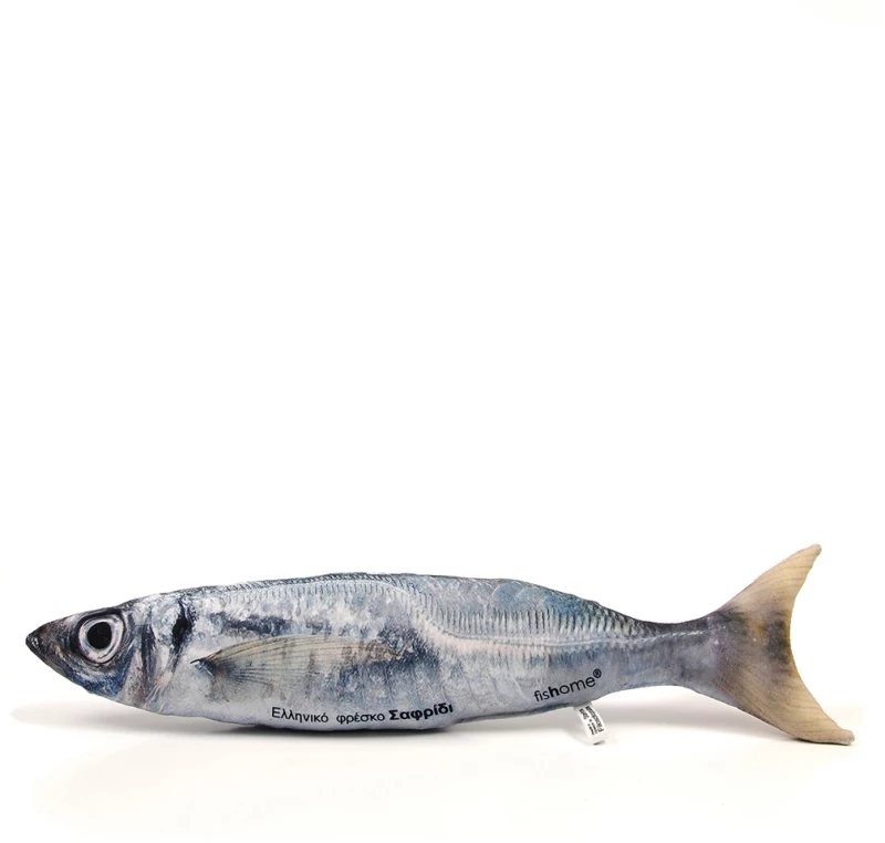 Σαφρίδι - fishome