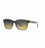 Unisex Γυαλιά Ηλίου Arnette AN4320-27862Q-55 Ø 55 mm
