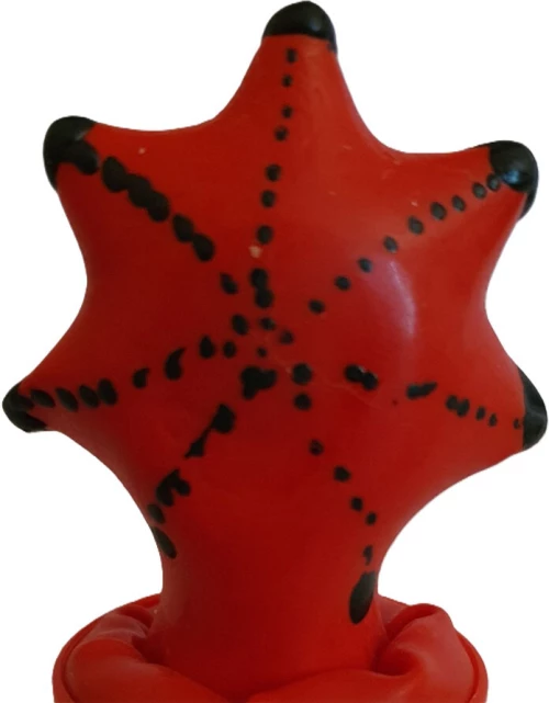 CONDOMERIE - HANDPAINTED NOVELTY CONDOMS STARFISH