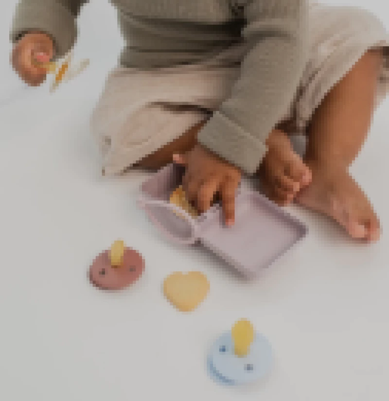 Bibs Θήκη Πιπίλας Plum 4200335
