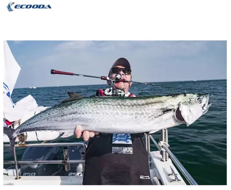 Ecooda Reel Hadera 8000HG