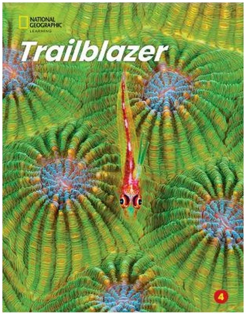 TRAILBLAZER 4 SB ( + SPARK)