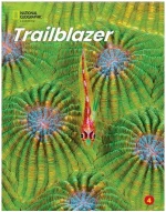 TRAILBLAZER 4 SB ( + SPARK)