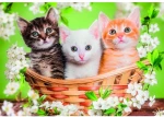 Brothers in Fur puzzle 2x60pcs