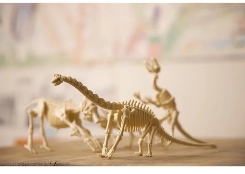 4M Toys Ανασκαφή Βραχιόσαυρος