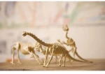 4M Toys Ανασκαφή Βραχιόσαυρος
