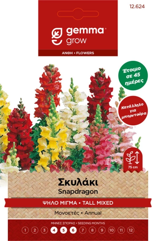 Σκυλάκι Ψηλό Μίγμα