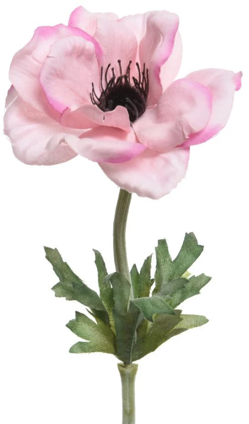 Beauty Home ΑΝΑΕΜΩΝΗ 57 CM