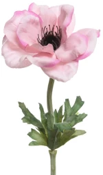 Beauty Home ΑΝΑΕΜΩΝΗ 57 CM