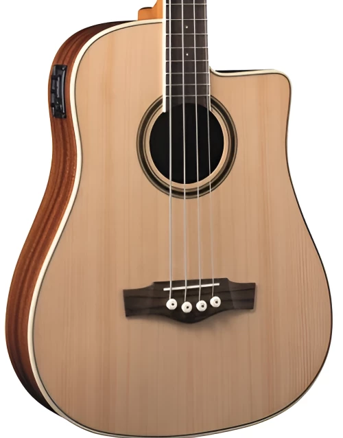 Eko Guitars NXTB100CE Natural