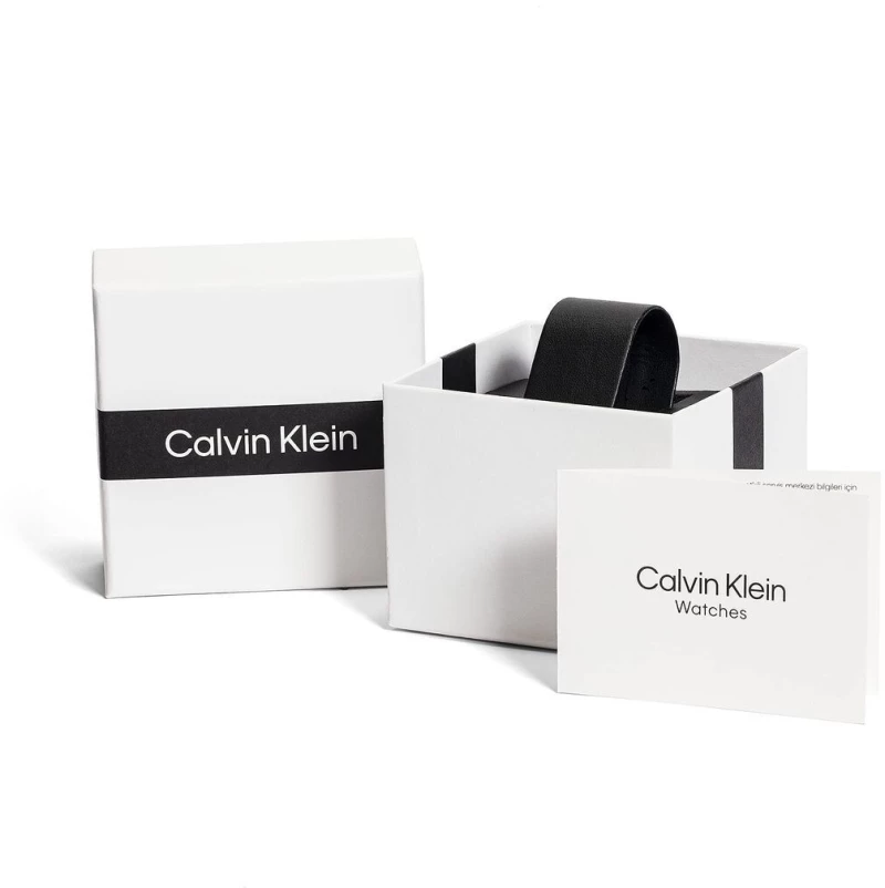 Ανδρικά Ρολόγια Calvin Klein 25200229 (Ø 40 mm)