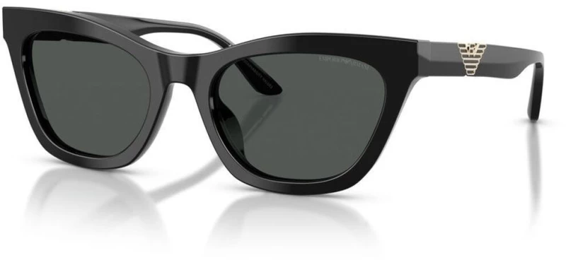 Γυναικεία Γυαλιά Ηλίου Emporio Armani EA 4259U
