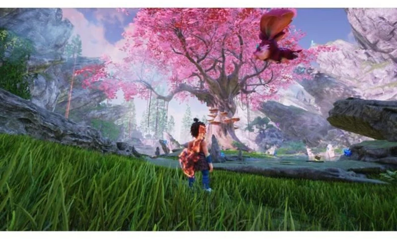 Βιντεοπαιχνίδι PlayStation 5 Microids