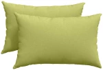 vidaXL Μαξιλάρι Καναπέ 2 pcs Ανοιχτό Πράσινο 60 x 40 cm ύφασμα