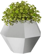 vidaXL Γλάστρα 2 pcs Ασημί 50 x 50 x 40 cm Ανοξείδωτο ατσάλι