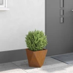 vidaXL Γλάστρα Σκ rusty 30 x 30 x 30 cm Ατσάλι Σκληρυθέν στον Αέρα