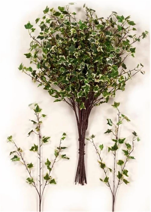 Κλαδί κισσός δίχρωμος 80cm