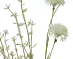 Beauty Home ΑΛΙΟΥΜ ΜΙΝΙ