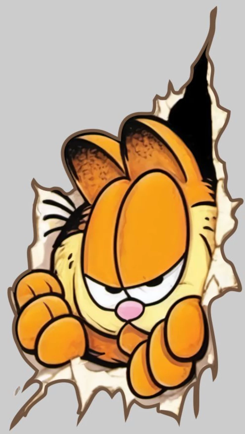 Garfield Μακρυμάνικο T-Shirt - WHITE