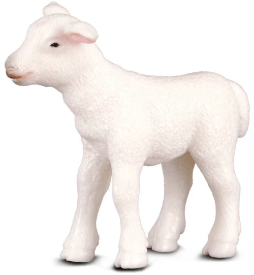 COLLECTA ΑΡΝΑΚΙ- PR-88009