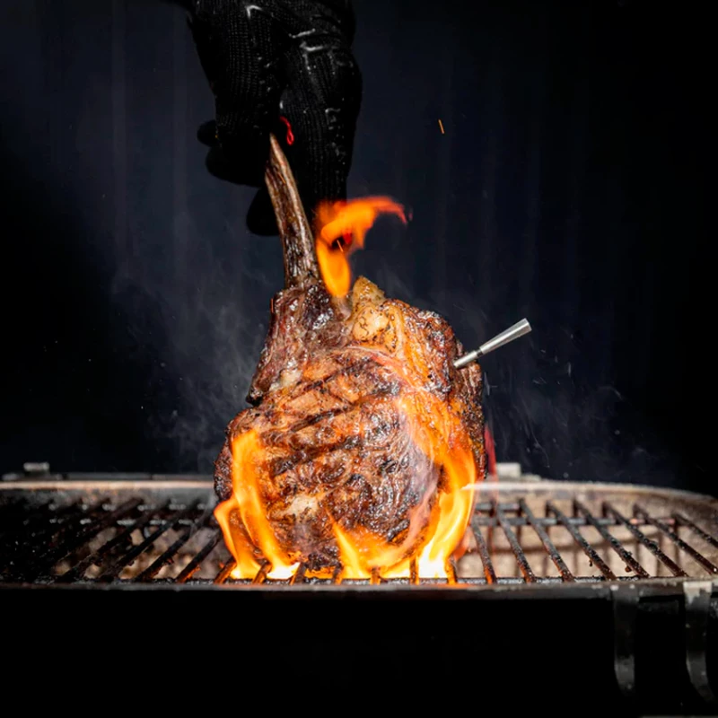MEATER PRO