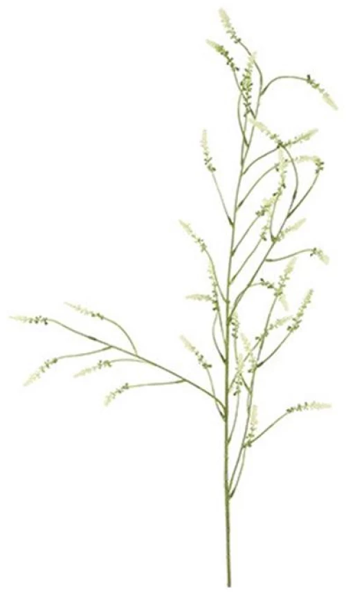Melilotus κλαδί λευκό 115εκ.