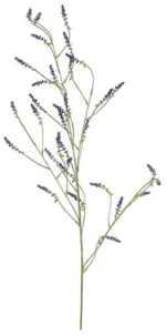 Melilotus κλαδί μωβ 115εκ.