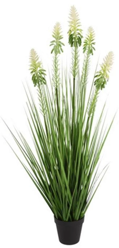Neobartsia λευκή σε κασπώ 90εκ.
