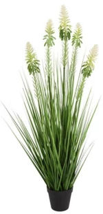 Neobartsia λευκή σε κασπώ 90εκ.