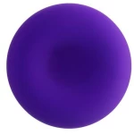 Anal Plug Sholt