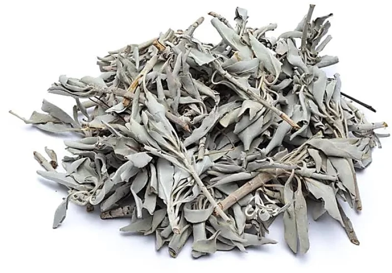 Purification White Sage Smudge Leaves Λευκό Φασκόμηλο σε Φύλλα 30g