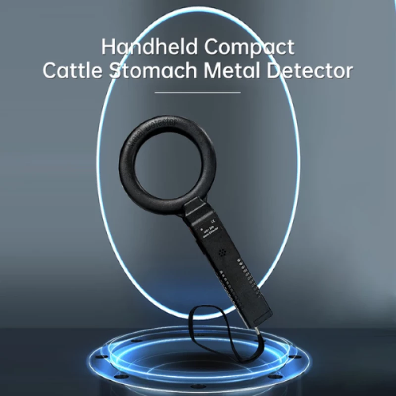 Scanner Ασφαλείας DM-300