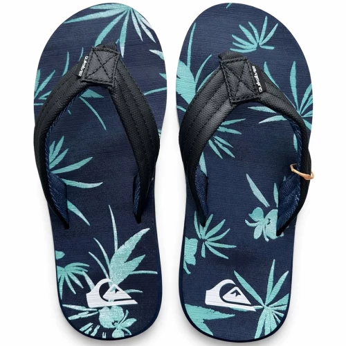 QUIKSILVER QUIKSILVER M CARVER PRINT AQYL101240-BYJ6
