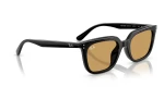 RAY BAN RB 4439D 901/73