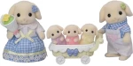 Flora Rabbit Family