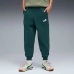 Puma ESS No. 1 Logo Sweatpants FL B 684912-75 PUMA ΠΡΑΣΙΝΟ
