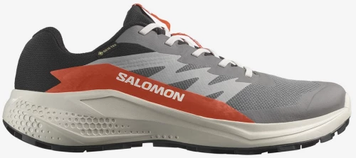 Salomon ALPHAGLIDE GTX 479753 SALOMON Γκρι